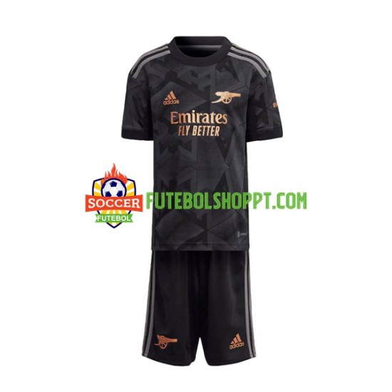 Camisola Júnior Arsenal Alternativa Equipamento 2022-2023 Manga Curta