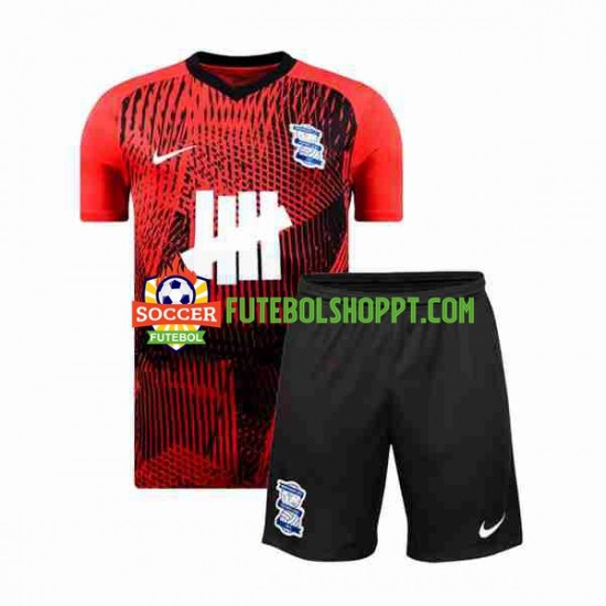 Camisola Júnior Birmingham City Alternativa Equipamento 2023-2024 Manga Curta