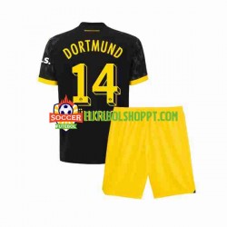 Camisola Júnior Borussia Dortmund Niclas Fullkrug 14 Alternativa Equipamento 2023-2024 Manga Curta