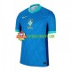 Camisola Homem Brasil Copa America Alternativa Equipamento 2024 Manga Curta