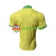 Camisola Homem Brasil Principais Equipamento 2023-2024 Manga Curta