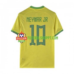 Camisola Homem Brasil Neymar JR 10 Principais Equipamento Mundial 2022 Manga Curta