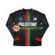 Camisola Homem Club Deportivo Palestino Center Stripre Principais Equipamento 2024-2025 Manga Comprida