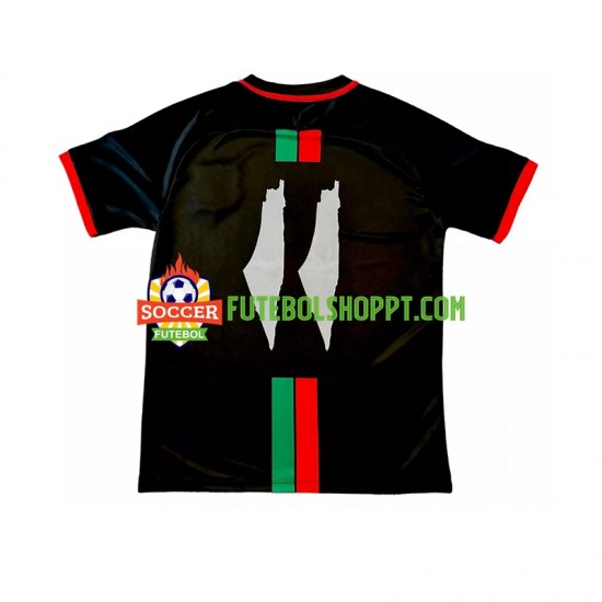 Camisola Homem Club Deportivo Palestino Center Stripre Principais Equipamento 2024-2025 Manga Curta