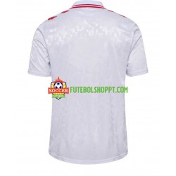 Camisola Homem Dinamarca Alternativa Equipamento Euro 2024 Manga Curta