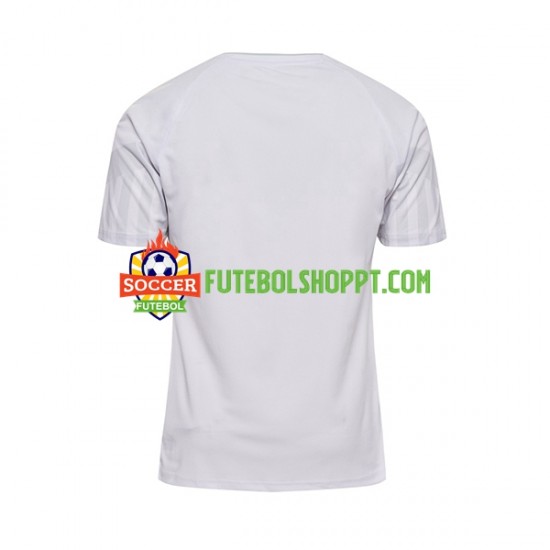 Camisola Homem Dinamarca Alternativa Equipamento Mundial 2022 Manga Curta