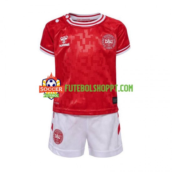 Camisola Júnior Dinamarca Principais Equipamento Euro 2024 Manga Curta
