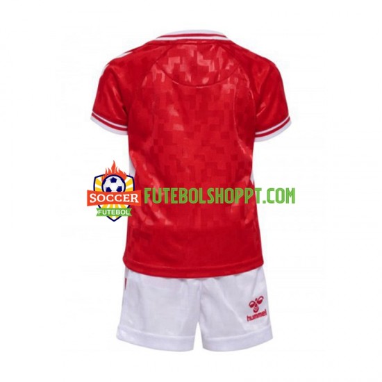 Camisola Júnior Dinamarca Principais Equipamento Euro 2024 Manga Curta
