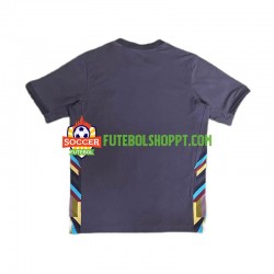 Camisola Homem Inglaterra Alternativa Equipamento Euro 2024 Manga Curta
