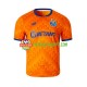 Camisola Homem FC Porto Alternativa Equipamento 2024-2025 Manga Curta