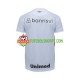 Camisola Homem Gremio Alternativa Equipamento 2023-2024 Manga Curta