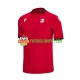 Camisola Homem Georgia Terceiro Equipamento Euro 2024 Manga Curta