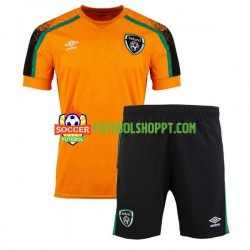 Camisola Júnior Irlanda Alternativa Equipamento 2022 Manga Curta