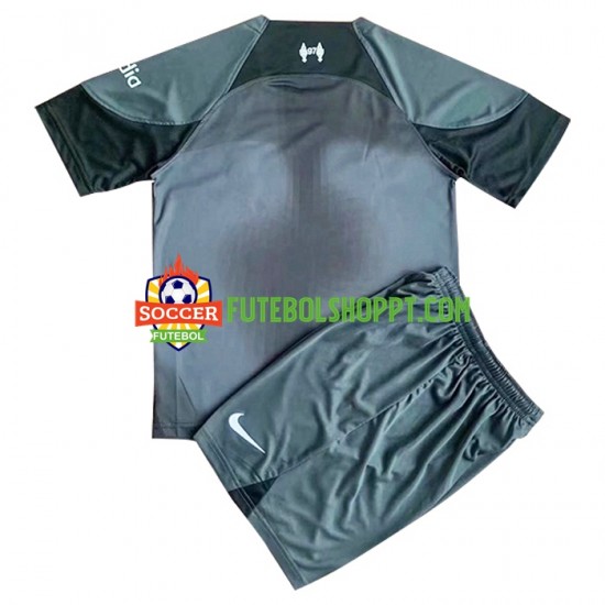 Camisola Júnior Liverpool Guarda-redes Alternativa Equipamento 2022-2023 Manga Curta