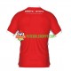 Camisola Homem Middlesbrough Principais Equipamento 2022-2023 Manga Curta