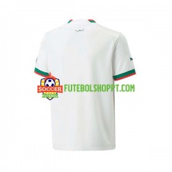 Camisola Homem Marrocos Alternativa Equipamento Mundial 2022 Manga Curta