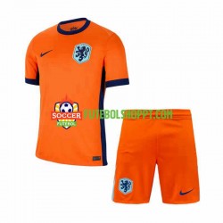 Camisola Júnior Países Baixos Principais Equipamento Euro 2024 Manga Curta