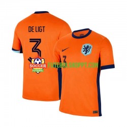 Camisola Homem Países Baixos Matthijs de Ligt 3 Principais Equipamento Euro 2024 Manga Curta