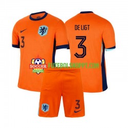 Camisola Júnior Países Baixos Matthijs de Ligt 3 Principais Equipamento Euro 2024 Manga Curta