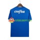 Camisola Homem Palmeiras Guarda-redes Alternativa Equipamento 2022-2023 Manga Curta