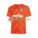 Camisola Homem Palmeiras Guarda-redes Terceiro Equipamento 2022-2023 Manga Curta