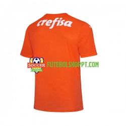 Camisola Homem Palmeiras Guarda-redes Terceiro Equipamento 2022-2023 Manga Curta