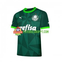 Camisola Homem Palmeiras Principais Equipamento 2023-2024 Manga Curta