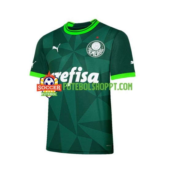 Camisola Homem Palmeiras Principais Equipamento 2023-2024 Manga Curta