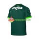 Camisola Homem Palmeiras Principais Equipamento 2023-2024 Manga Curta