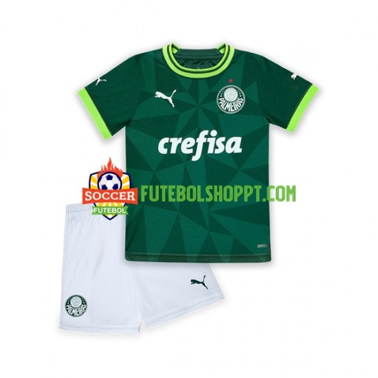 Camisola Júnior Palmeiras Principais Equipamento 2023-2024 Manga Curta