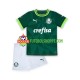 Camisola Júnior Palmeiras Principais Equipamento 2023-2024 Manga Curta