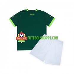 Camisola Júnior Palmeiras Principais Equipamento 2023-2024 Manga Curta