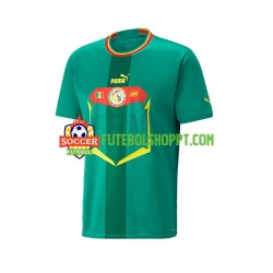 Camisola Homem Senegal Alternativa Equipamento Mundial 2022 Manga Curta
