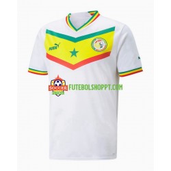 Camisola Homem Senegal Principais Equipamento Mundial 2022 Manga Curta