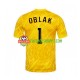 Camisola Homem Eslovénia Jan Oblak 1 Guarda-redes Principais Equipamento Euro 2024 Manga Curta