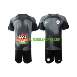 Camisola Júnior Eslovénia Guarda-redes Principais Equipamento 2022 Manga Curta