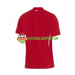 Camisola Homem Turquia Alternativa Equipamento Euro 2024 Manga Curta