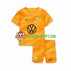 Camisola Júnior VfL Wolfsburg Guarda-redes Principais Equipamento 2023-2024 Manga Curta