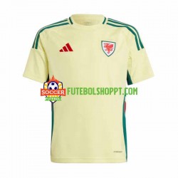 Camisola Homem País de Gales Alternativa Equipamento 2024 Manga Curta