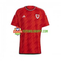Camisola Homem País de Gales Principais Equipamento Mundial 2022 Manga Curta Camisola Homem País de Gales Principais Equipamento Mundial 2022 Manga Curta