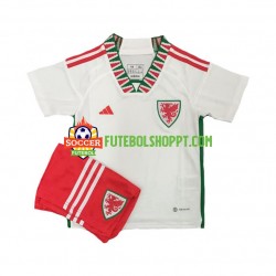 Camisola Júnior País de Gales Alternativa Equipamento Mundial 2022 Manga Curta