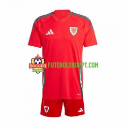 Camisola Júnior País de Gales Principais Equipamento 2024 Manga Curta