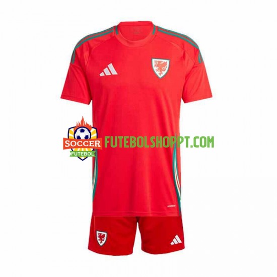 Camisola Júnior País de Gales Principais Equipamento 2024 Manga Curta