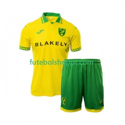 Camisola Júnior Norwich City Principais Equipamento 2025-2026 Manga Curta