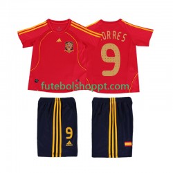 Camisola Júnior Espanha TORRES 9 Retro Principais Equipamento 2008 Manga Curta