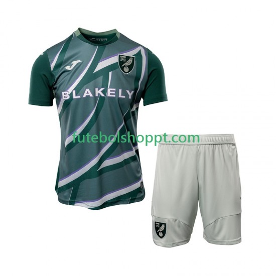 Camisola Júnior Norwich City Alternativa Equipamento 2025-2026 Manga Curta