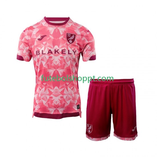 Camisola Júnior Norwich City Terceiro Equipamento 2025-2026 Manga Curta