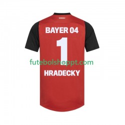 Camisola Homem Bayer 04 Leverkusen HRADECKY 1 Principais Equipamento 2024-2025 Manga Curta