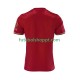 Camisola Homem Bayern de Munique 125th Anniversary Red Principais Equipamento 2024-2025 Manga Curta