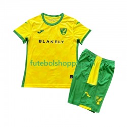 Camisola Júnior Norwich City Principais Equipamento 2024-2025 Manga Curta